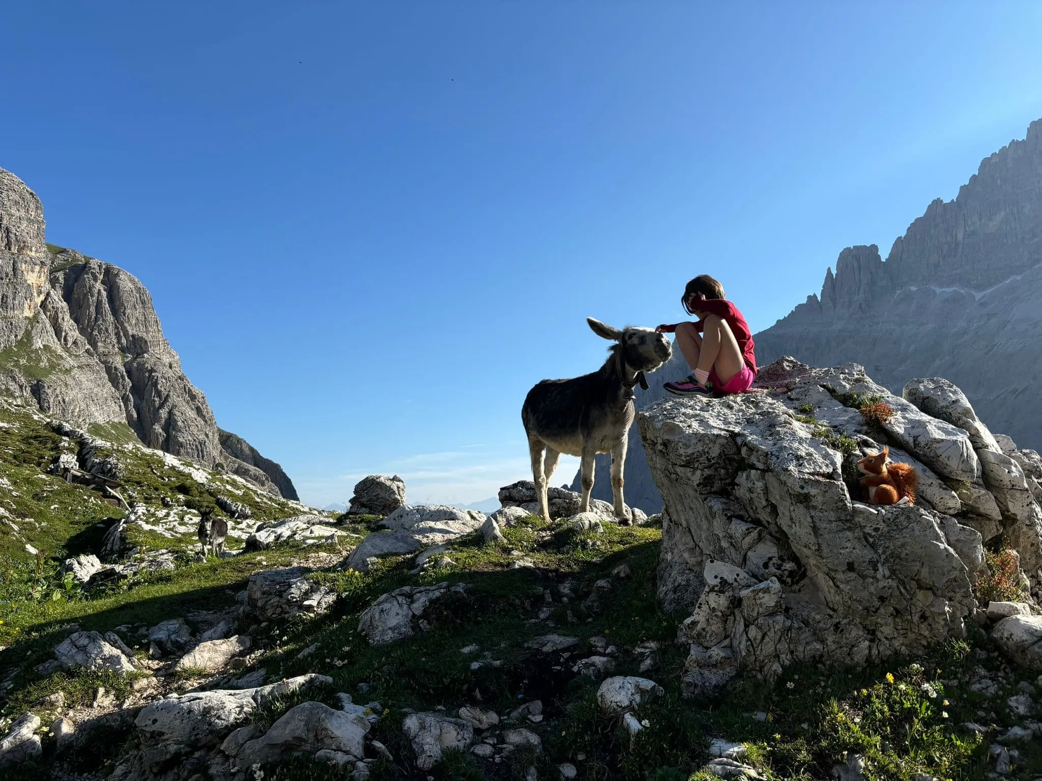 Wędrówka Tre Cime di Lavaredo 3