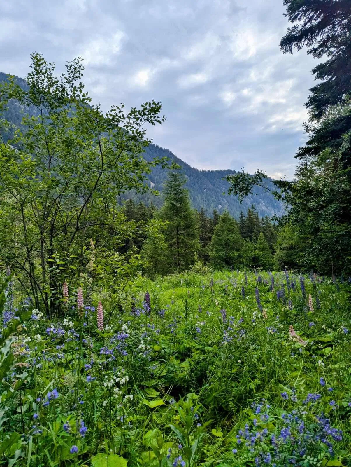 Western Tour du Mont Blanc - Including accommodation before and after 8