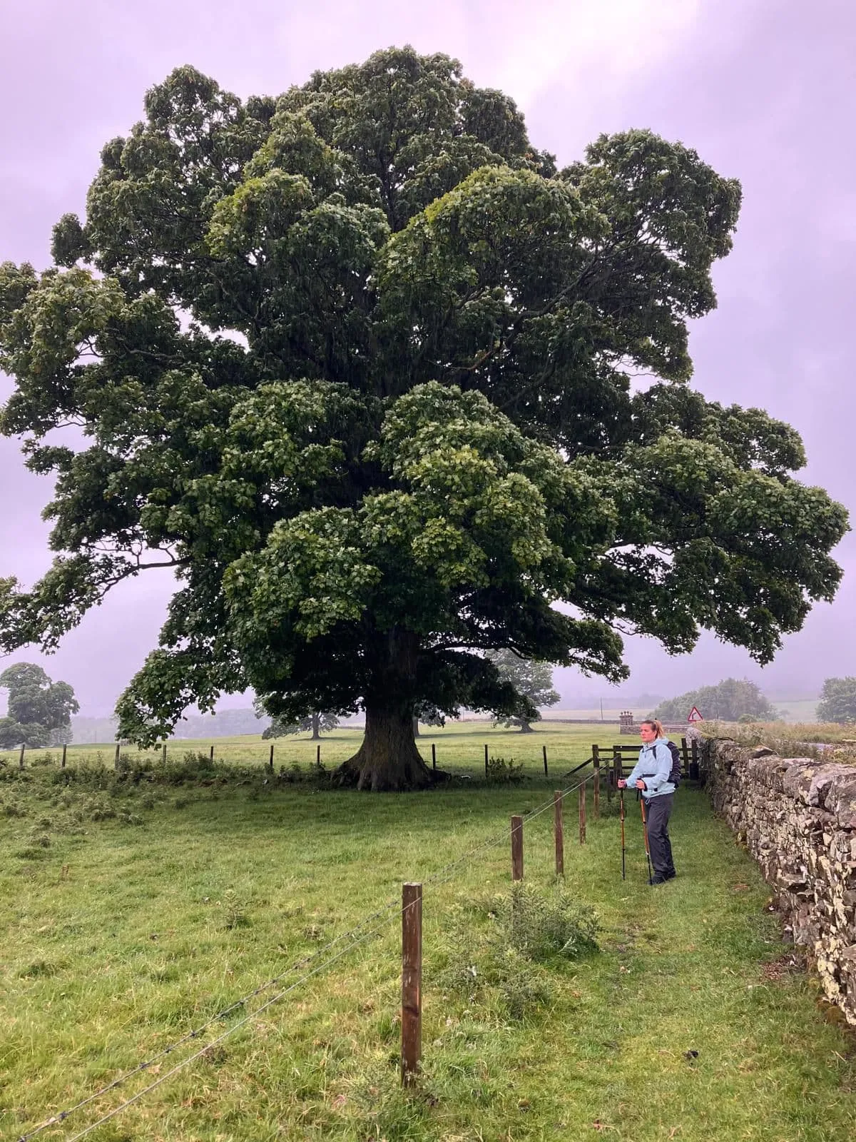 Hadrian's Wall Path - Moderado 4