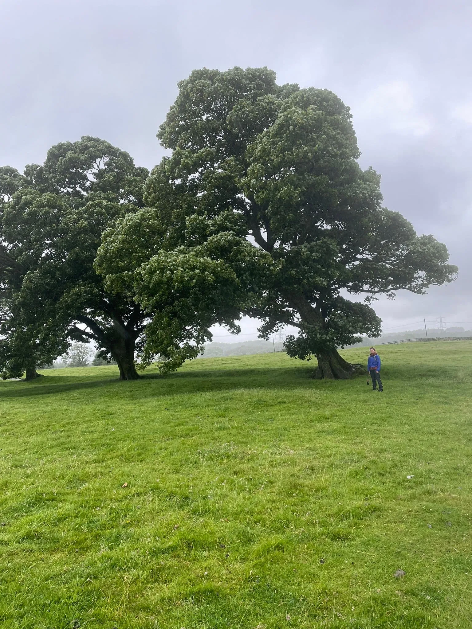 Hadrianswall-Pfad - Herausfordernd 7