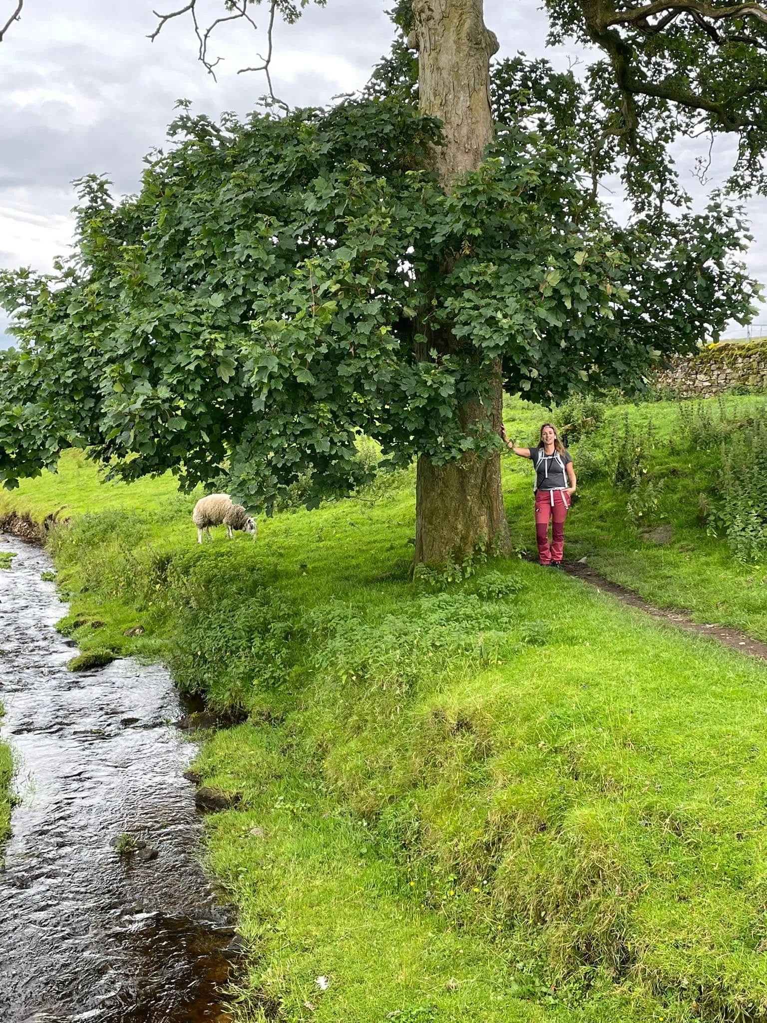 Hadrianswall-Pfad - Mittelschwer