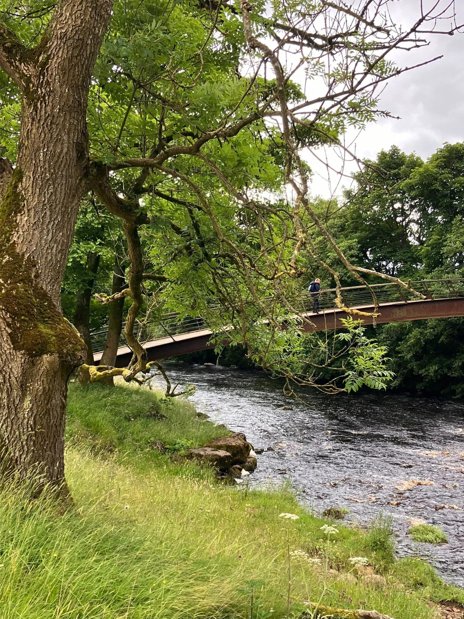 Hadrian's Wall Path - Challenging