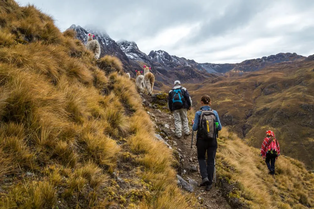 Quali sono le diverse opzioni per il trekking di Lares?