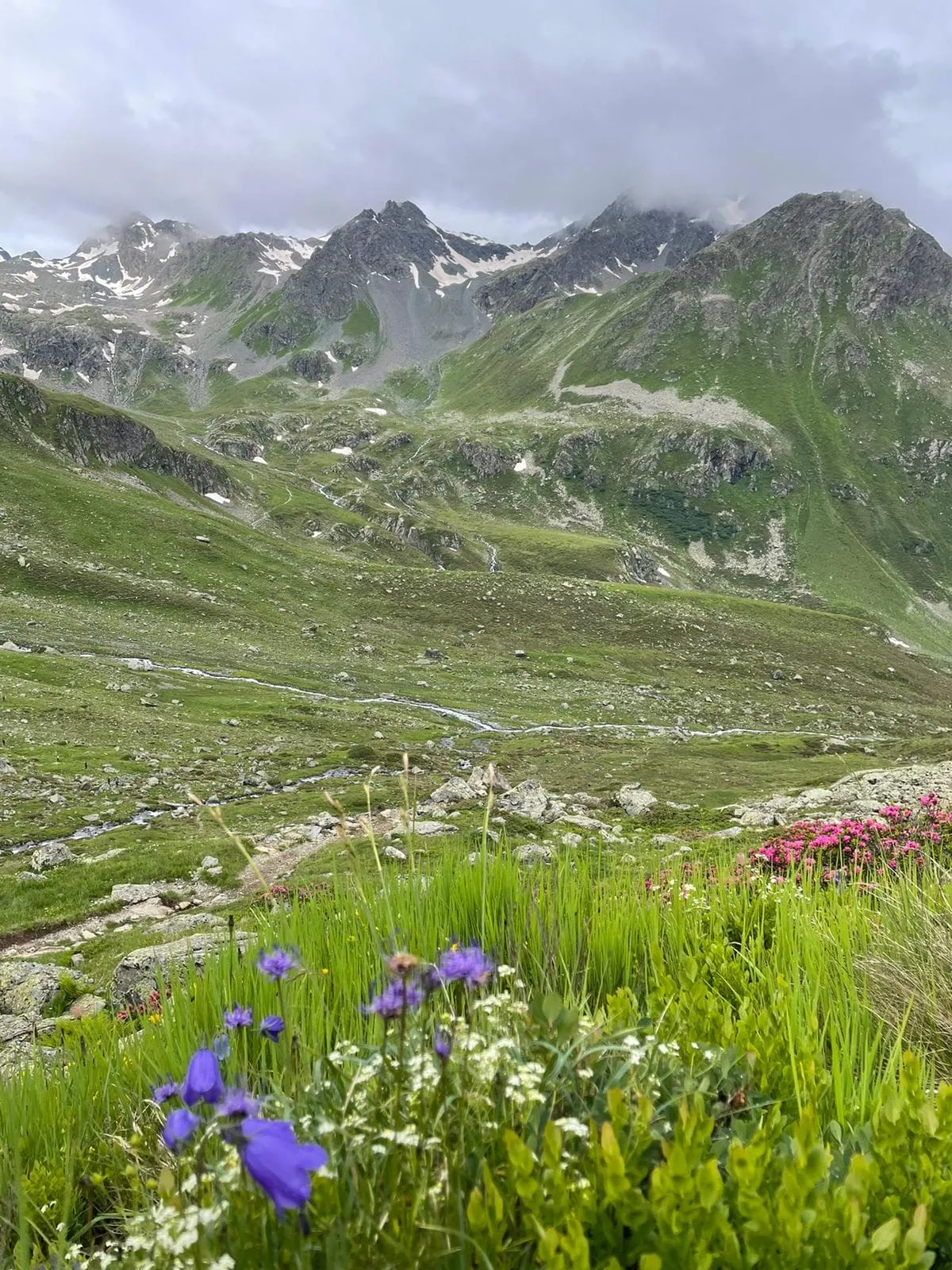 Kesch Trek in Graubünden 14