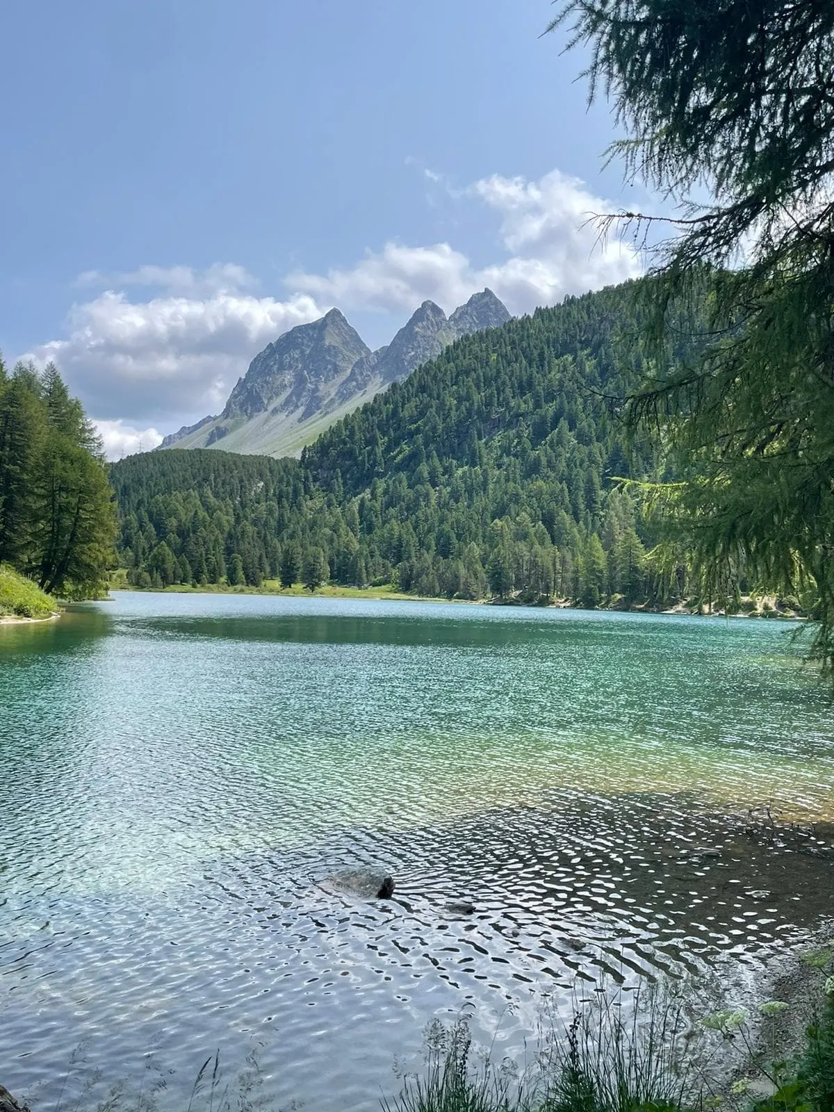 Kesch Trek i Graubünden 2