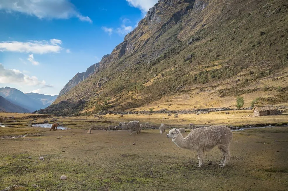 Le trek de Lares est-il fait pour moi ? - Difficulté