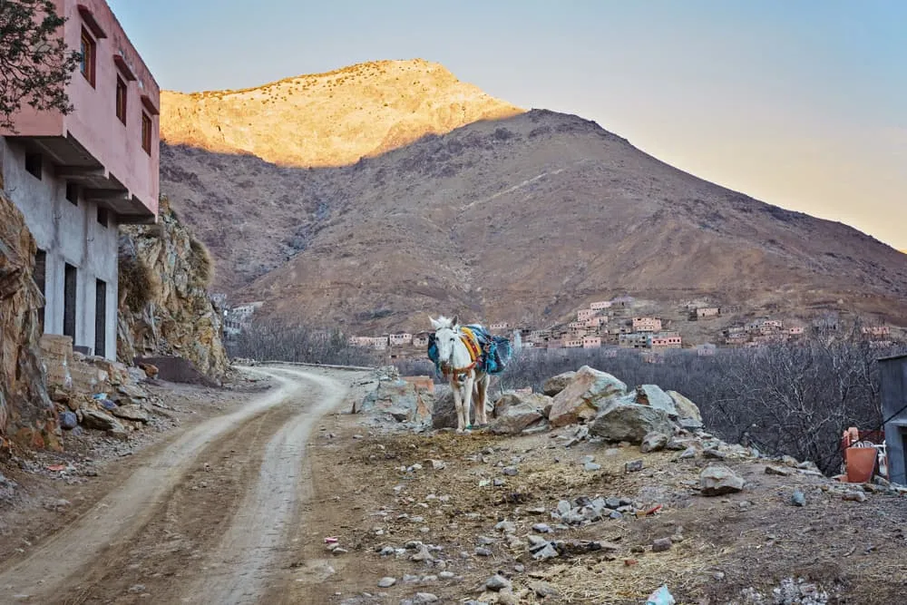 Trekking semanal nas Montanhas Atlas e ao Pico Toubkal