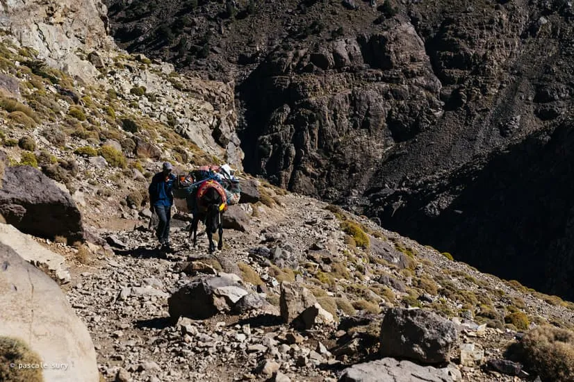 Trek na vrchol Toubkalu 14