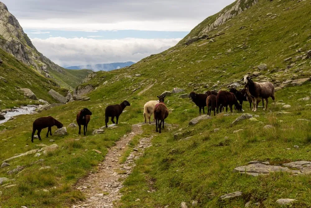 Moitié sud du Meraner Höhenweg