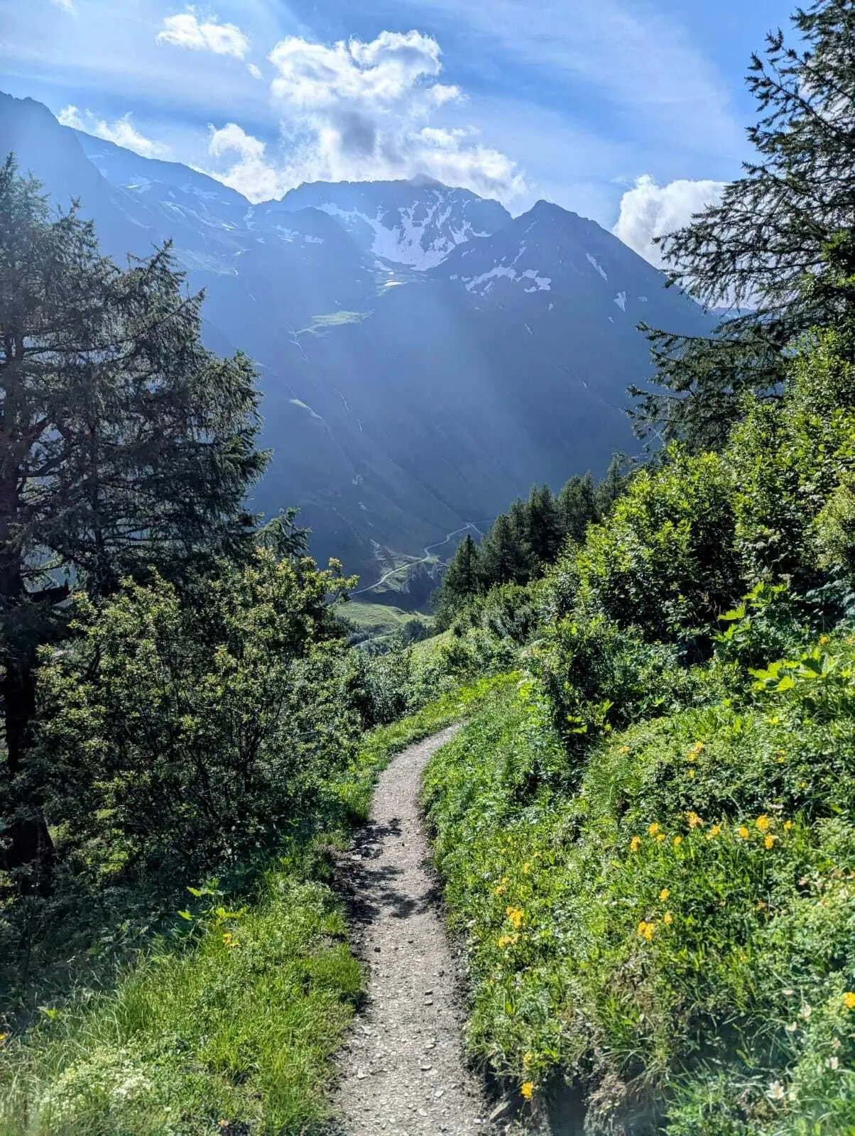 Westelijke Tour du Mont Blanc - Inclusief voor en na overnachting 2