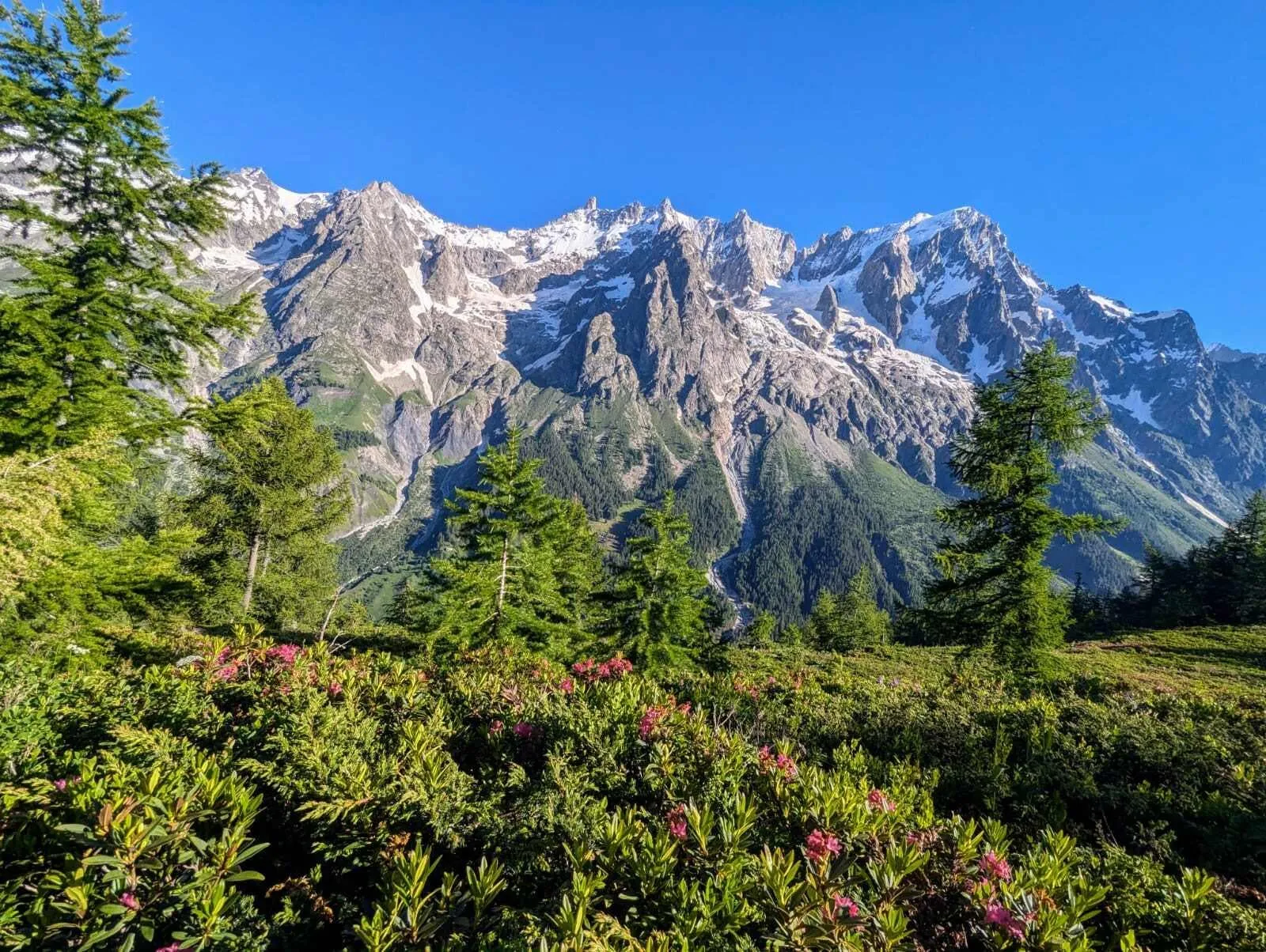 Pełna trasa Tour du Mont Blanc (9 dni)