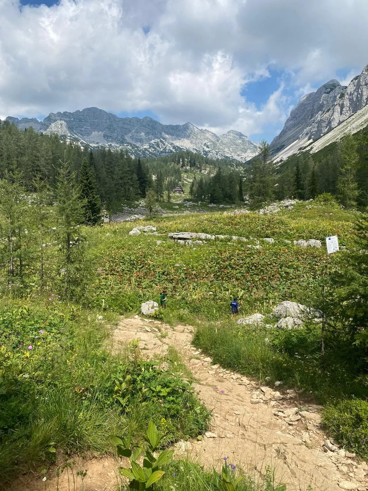 3-daagse Triglav Lakes Loop (zelfbegeleid) 7