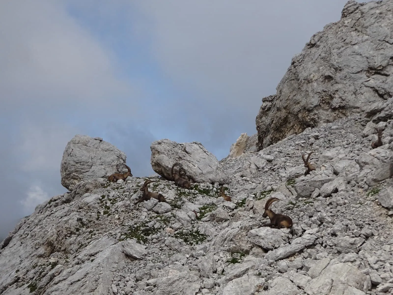 Dobrodružství v Národním parku Triglav 12