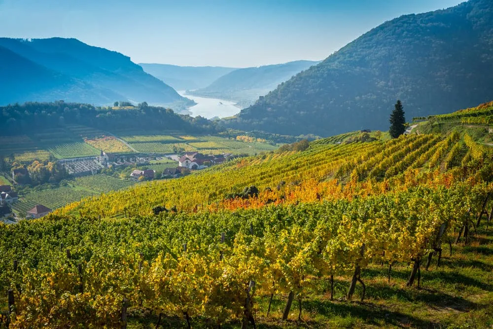 Camina y vino en Wachau