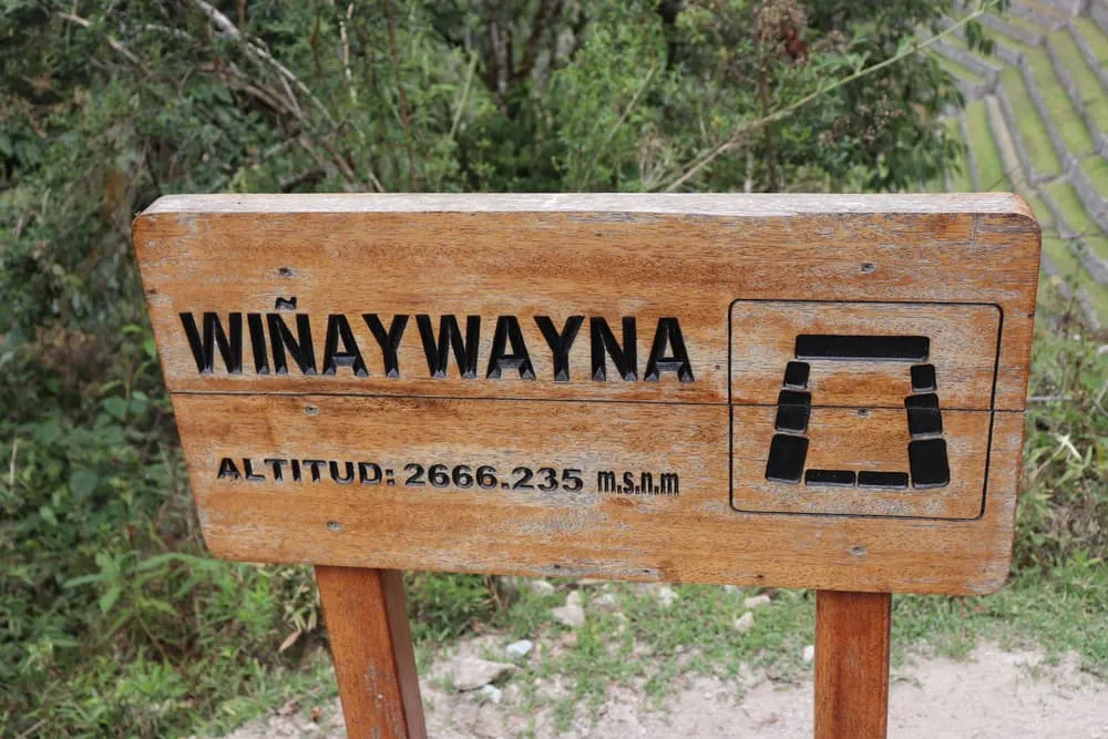 Wiñay Wayna: in Quechua, Forever Young