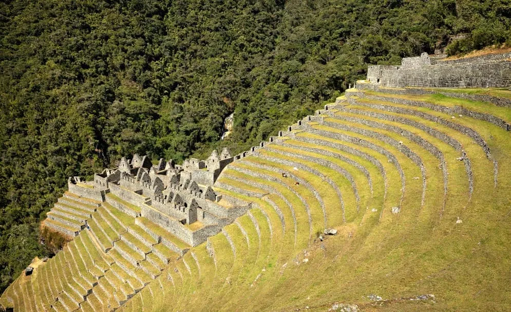 Wiñay Wayna: in Quechua, Forever Young