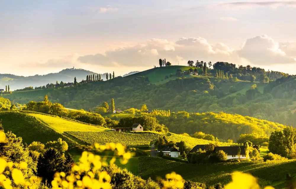 Wein & Genuss in der Südsteiermark
