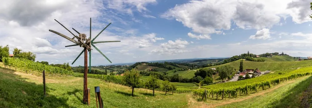 Wijn & Spijs in Zuid-Steiermark  1