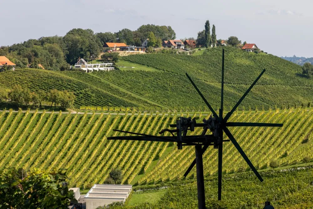 Wein & Genuss in der Südsteiermark
 3