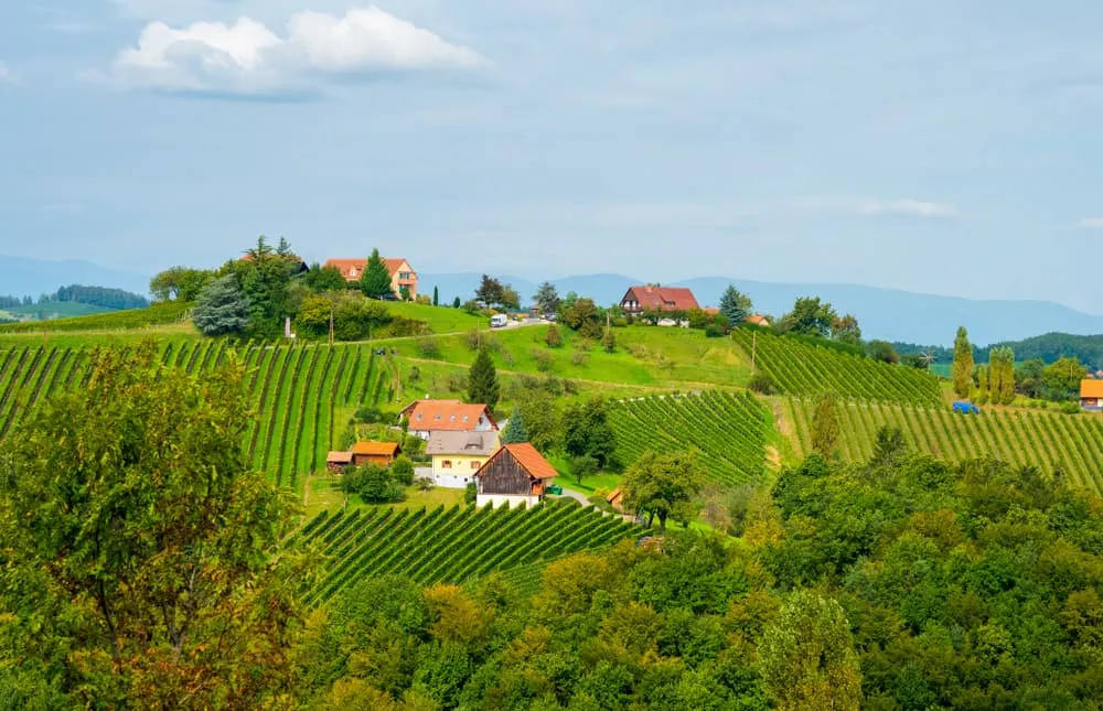 Vino e cibo nella Stiria meridionale 2