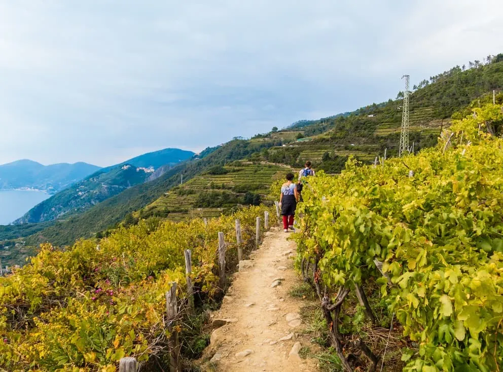 Kompletný zážitok z Cinque Terre 5