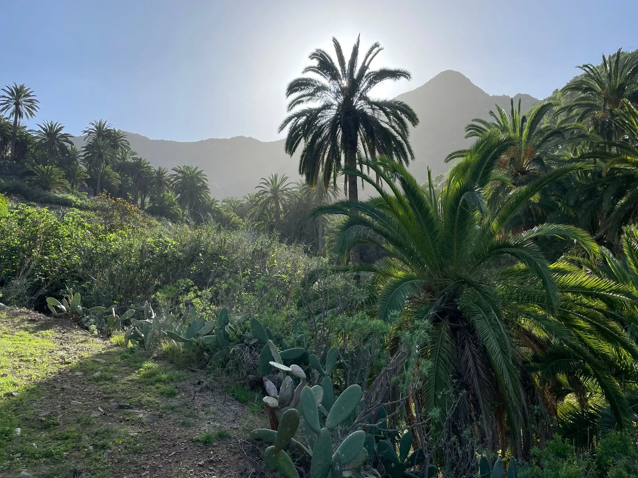 GR131/GR132 La Gomera avec transport de bagages