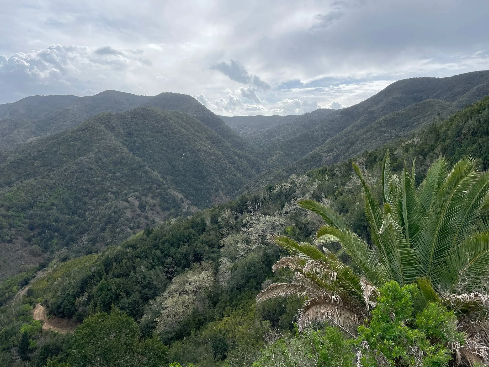 GR131/GR132 La Gomera with Luggage Transport   5