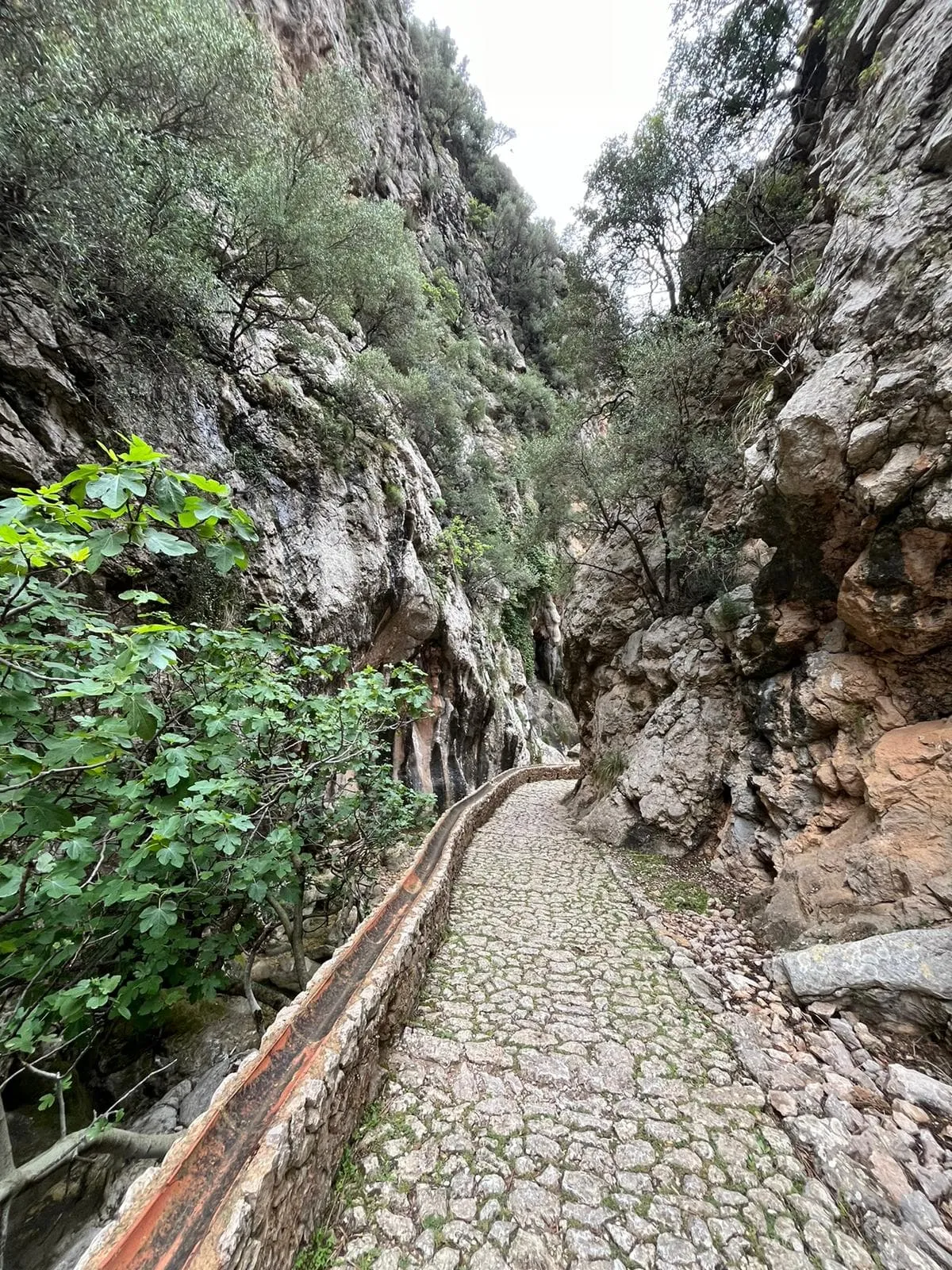 GR221 - Vollständige Route Inklusive Unterkunft vorher und nachher (12 Tage) 4