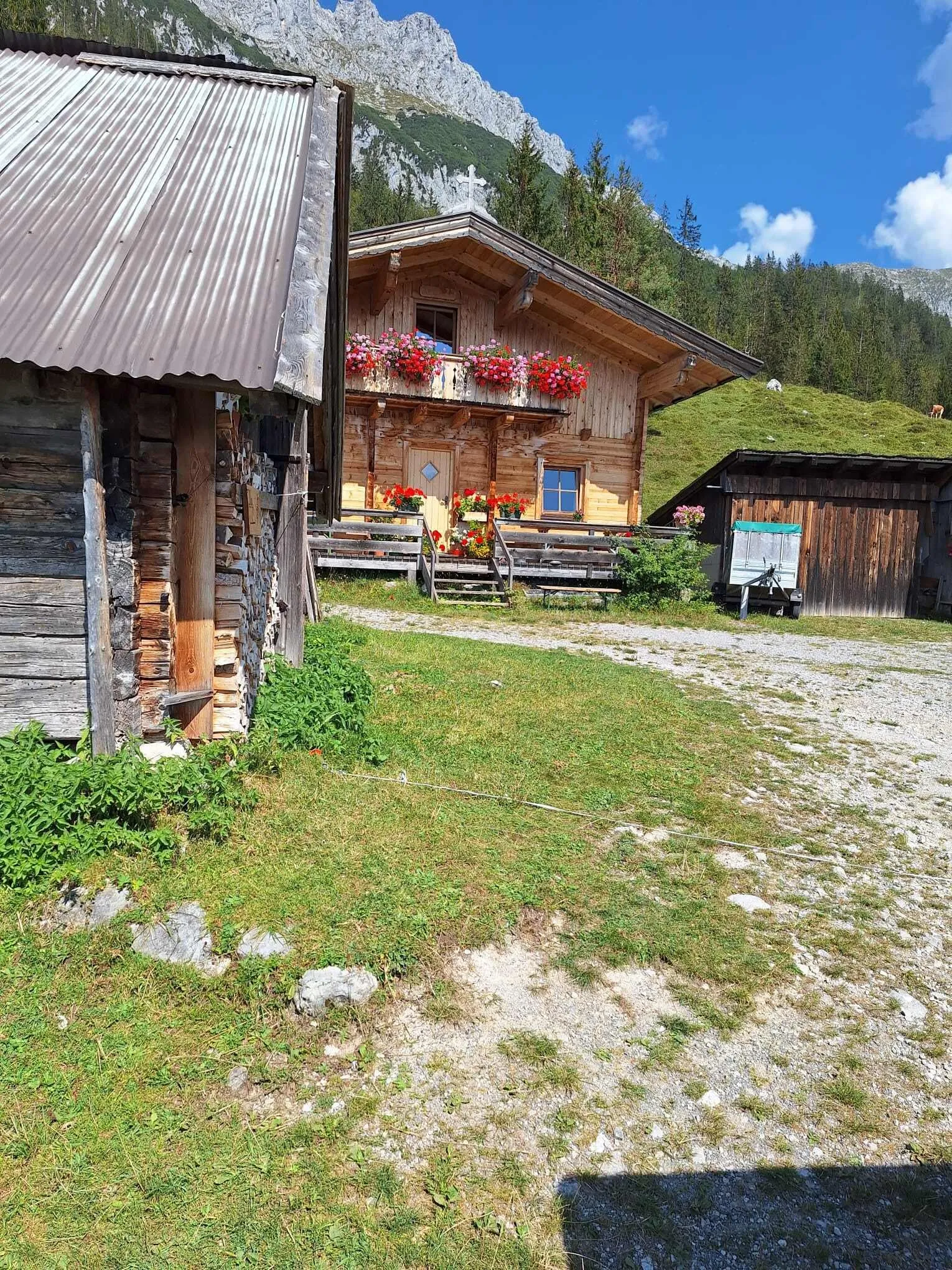 Kaiserkrönchen mit Hotel vor und nach 14