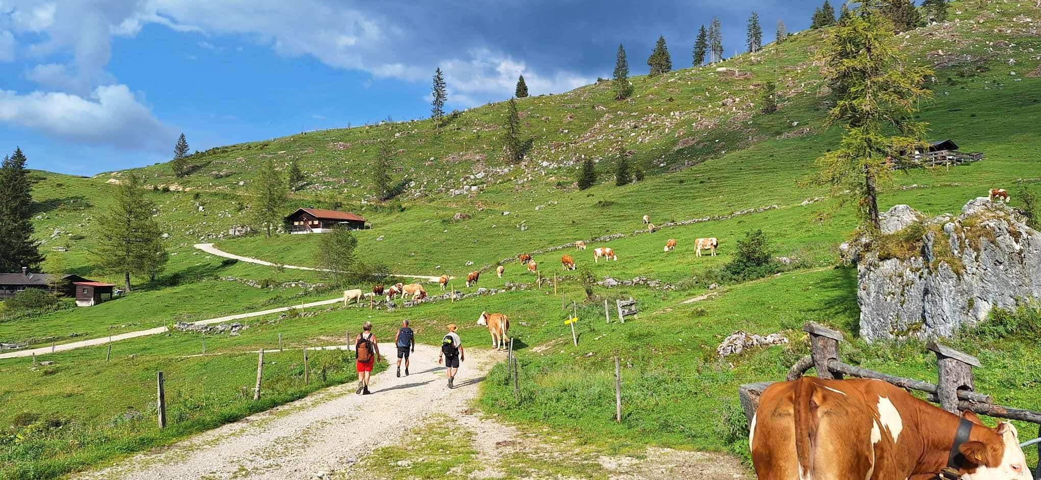 Kaiser's Little Crown with hotel before and after