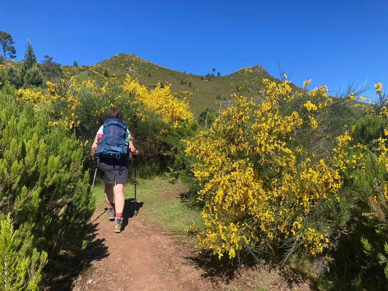 Ruta de Madeira 5