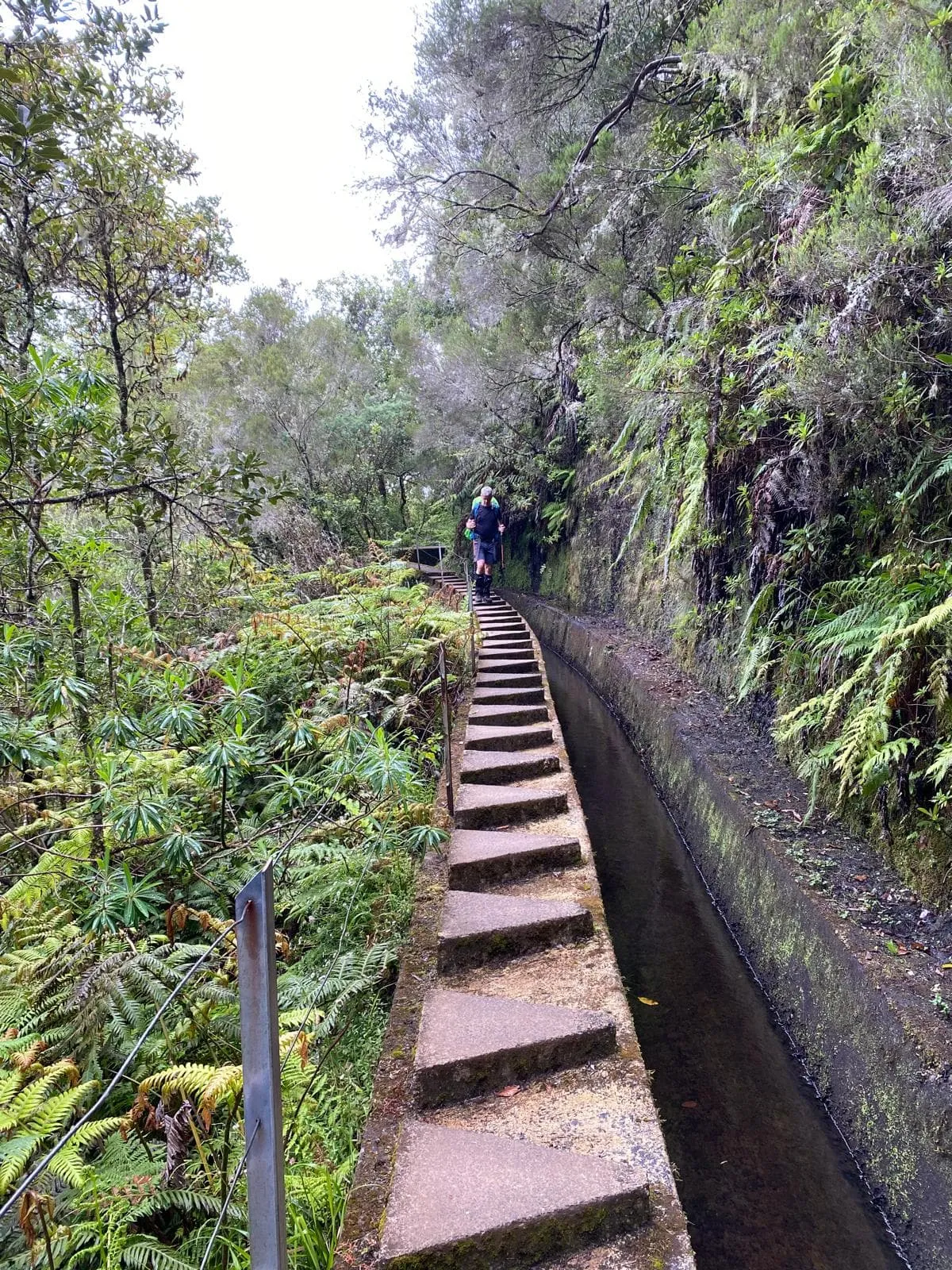 Sentiero di Madeira con hotel prima e dopo 14