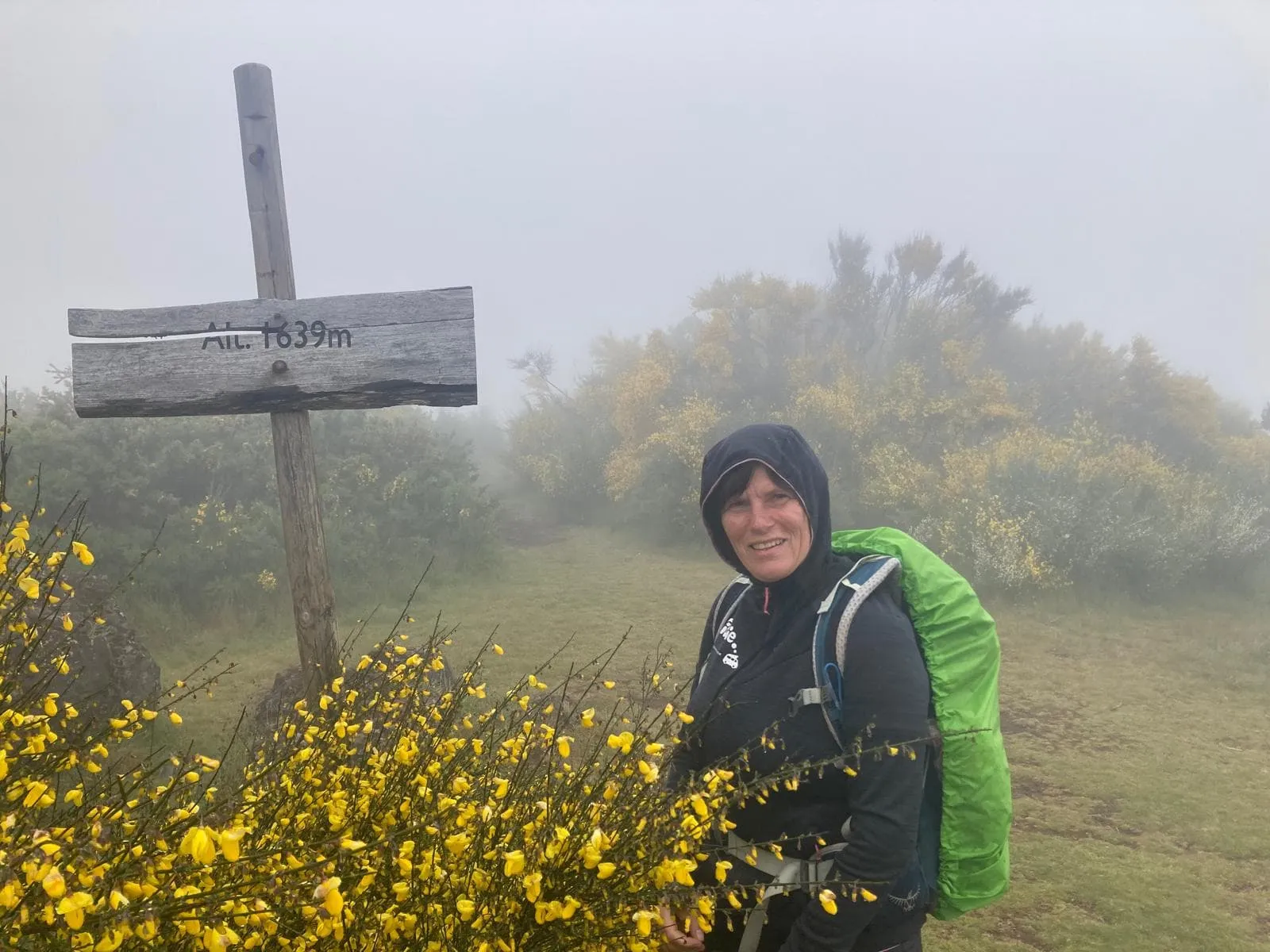 Ruta de Madeira 7