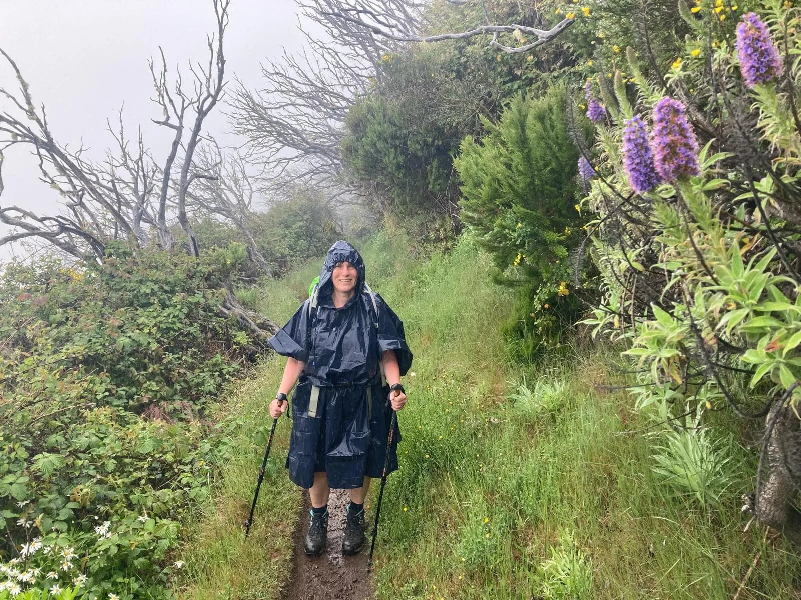 Ruta de Madeira 10