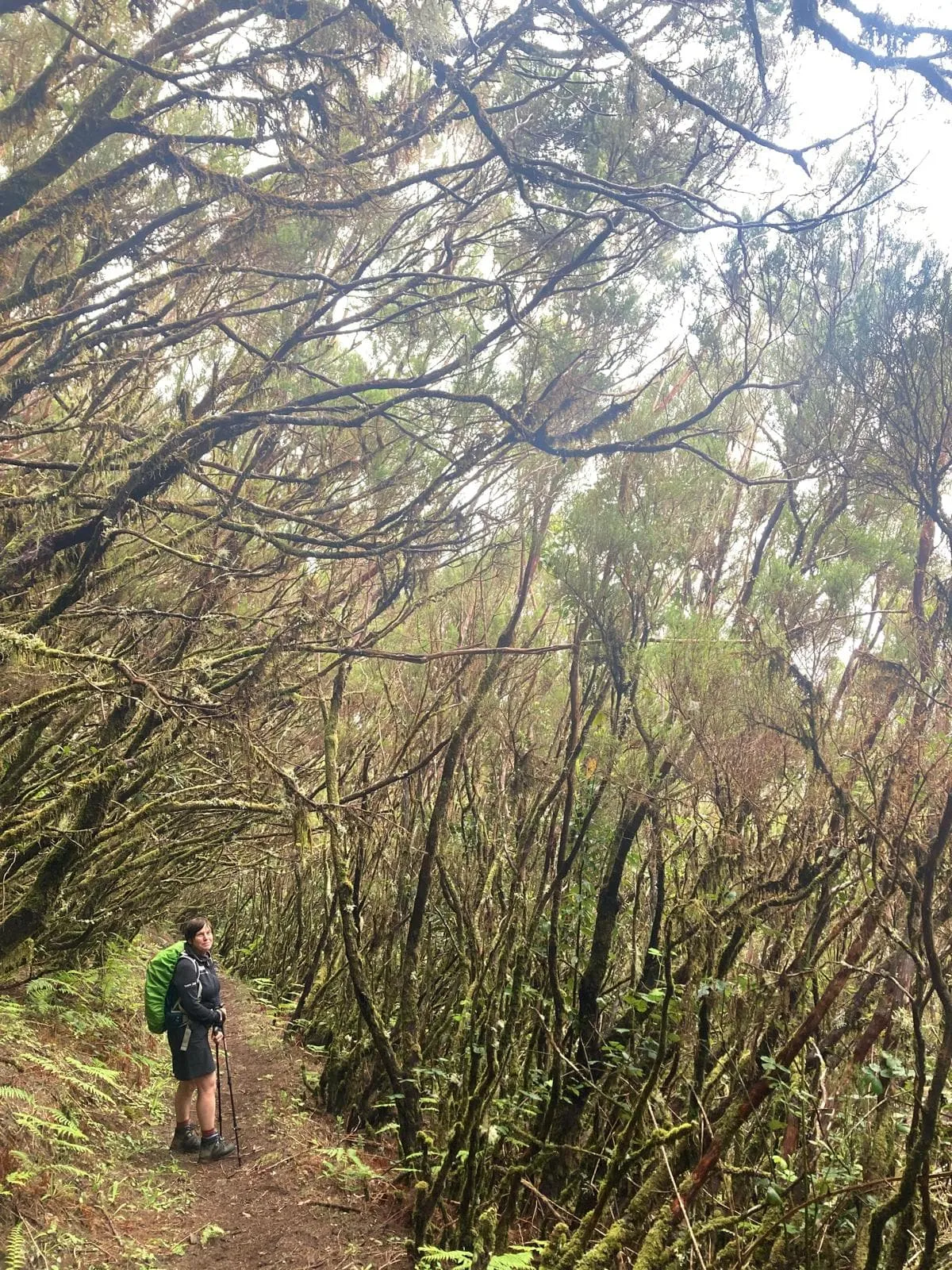 Sentier de Madère comprenant l'hôtel avant et après 12