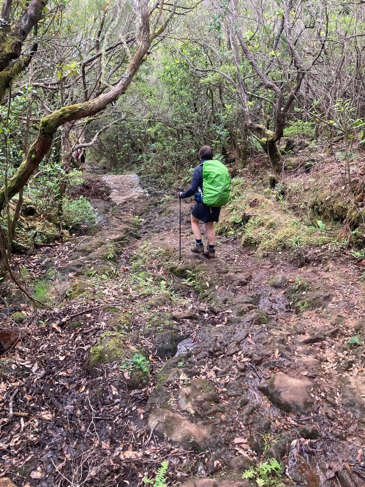 Sentier de Madère comprenant l'hôtel avant et après 6