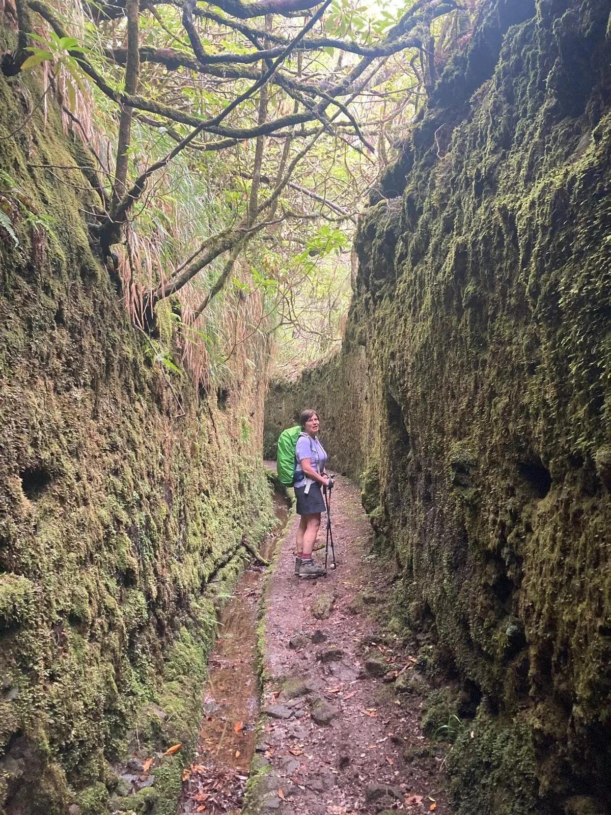 Sentier de Madère comprenant l'hôtel avant et après 6