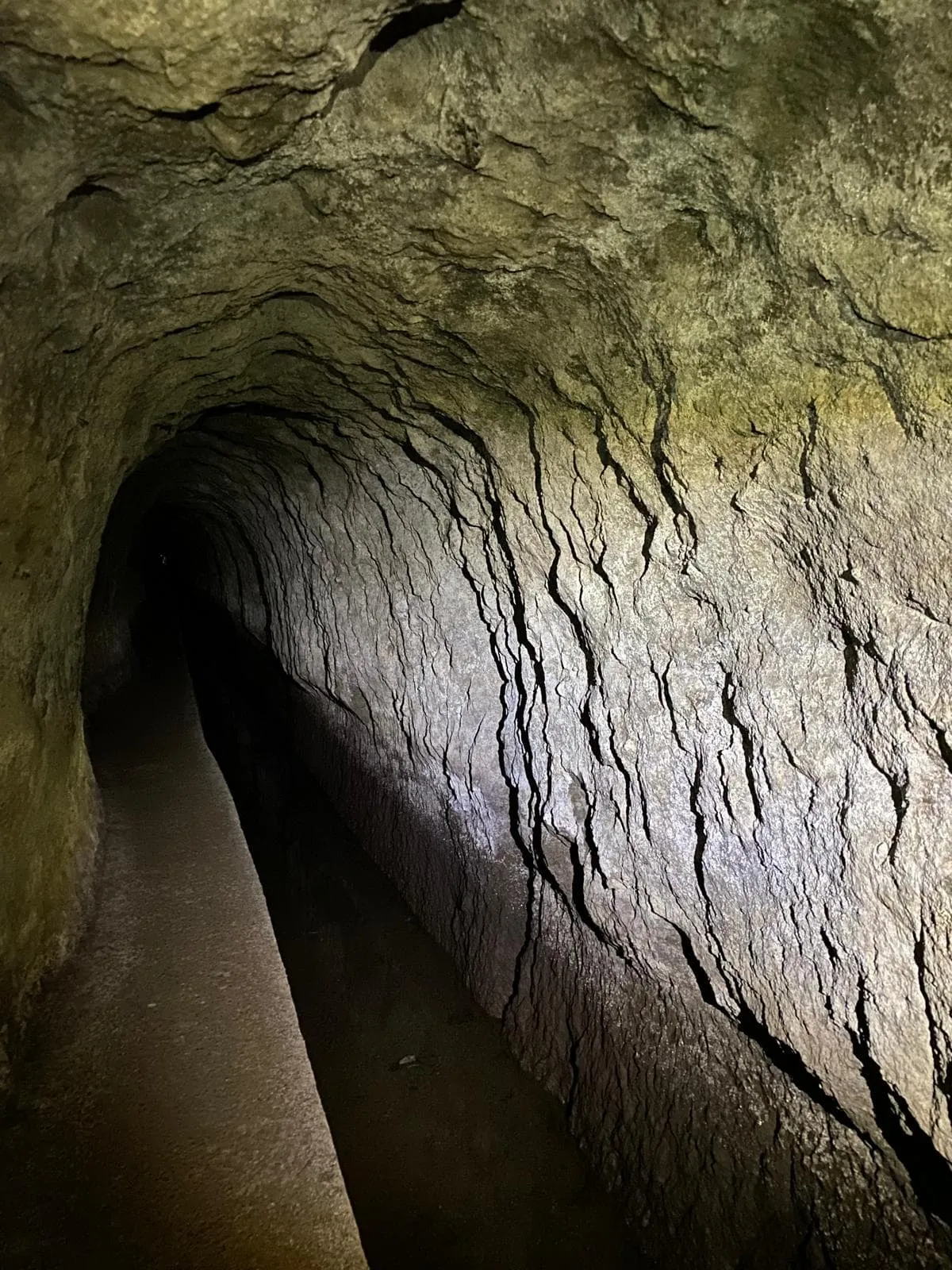 Sentier de Madère comprenant l'hôtel avant et après 8