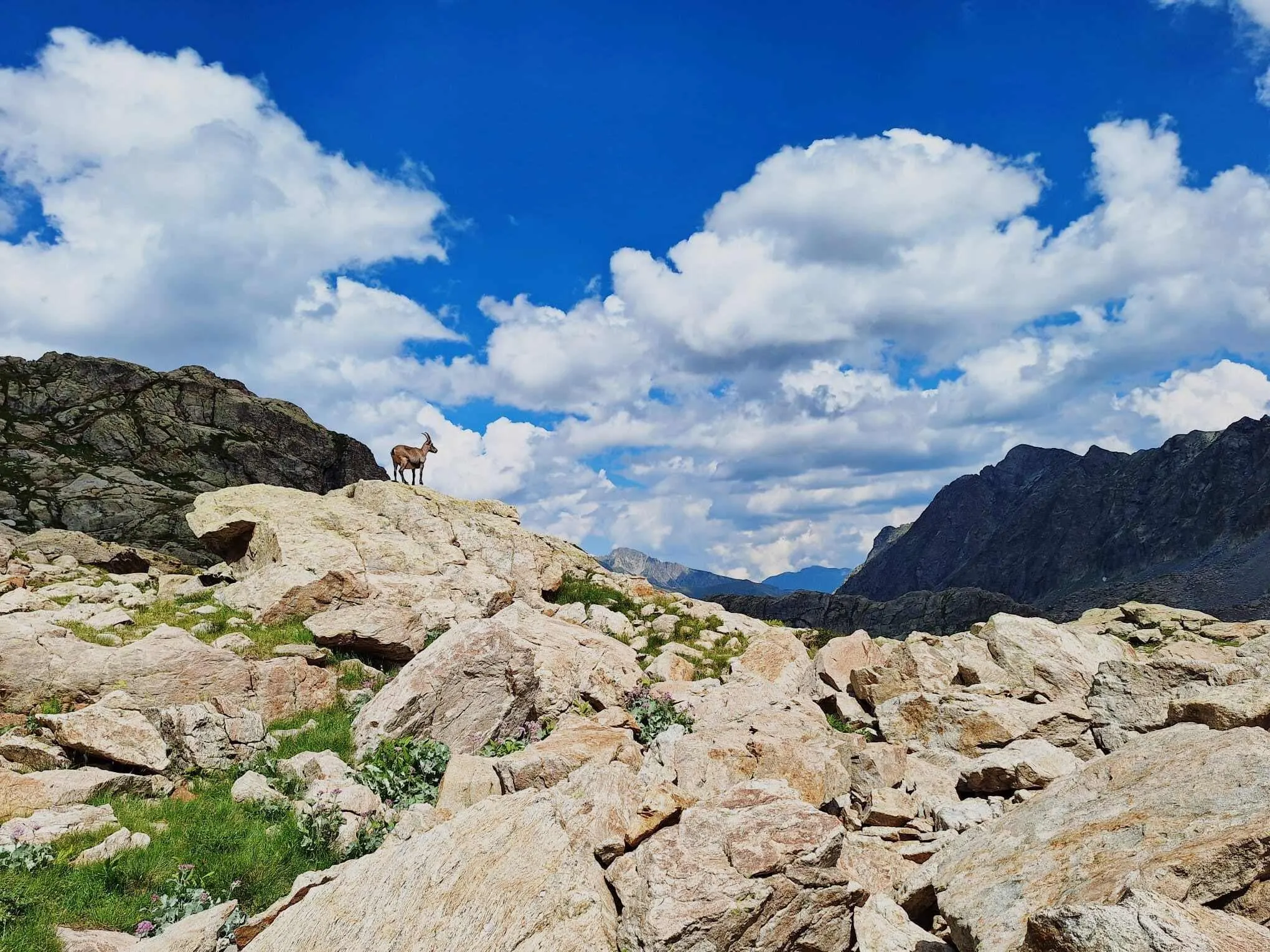 Mercantour - Hüttentour 4