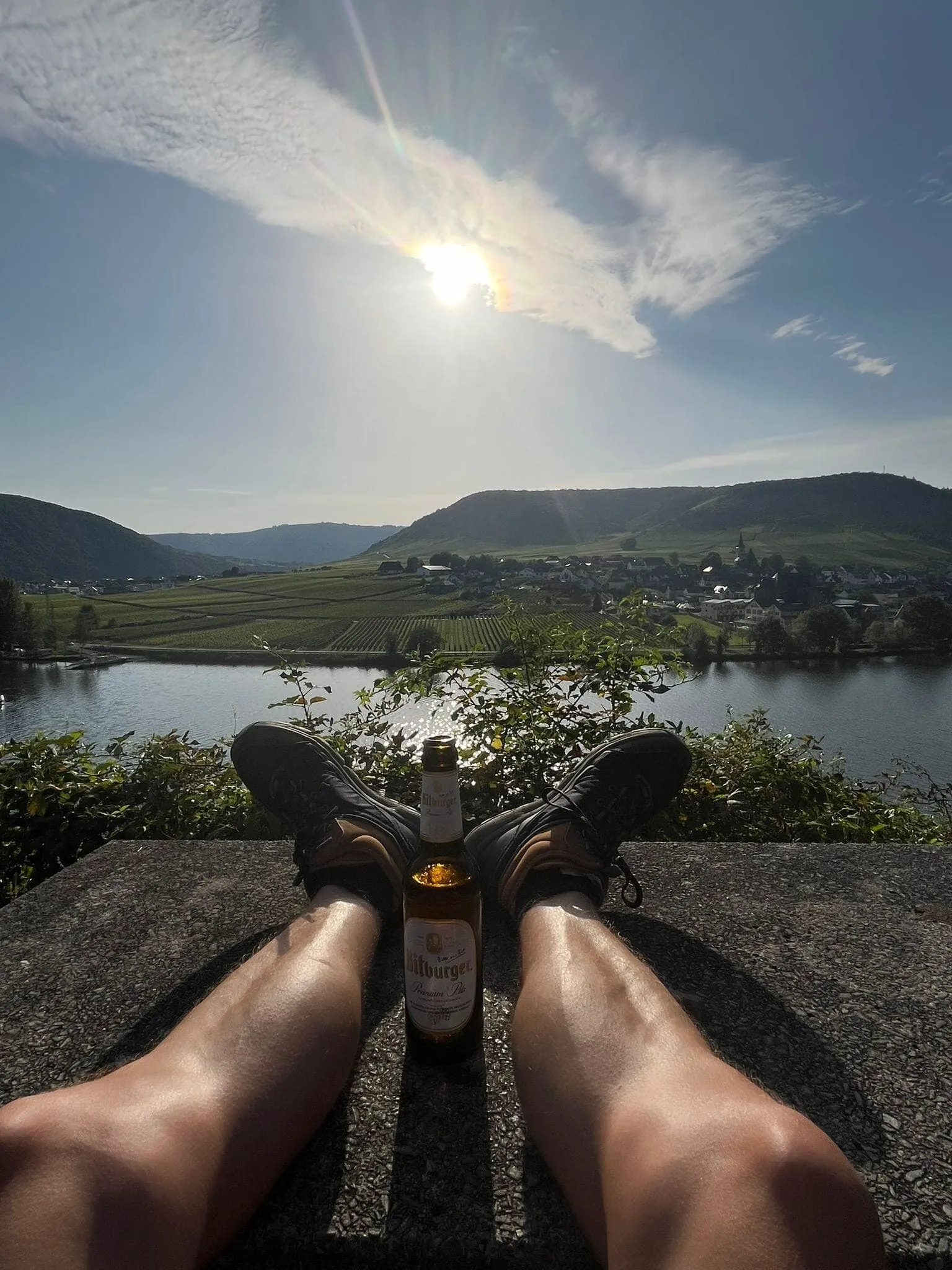 Moselsteig Vin og Slotte: fra Neef til Cochem 7