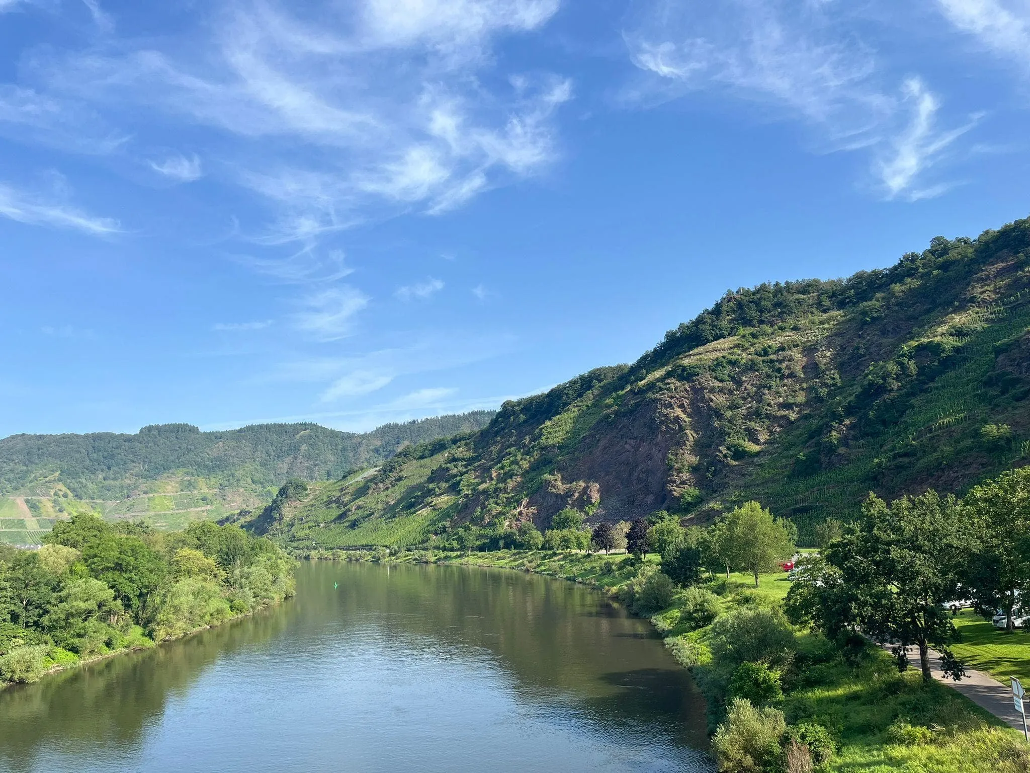 Moselsteig Vin og Slotte: fra Neef til Cochem 4