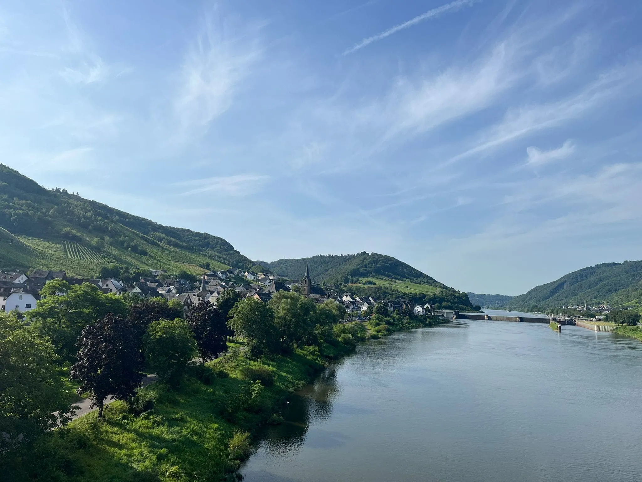 Moselsteig Vin og Slotte: fra Neef til Cochem 8