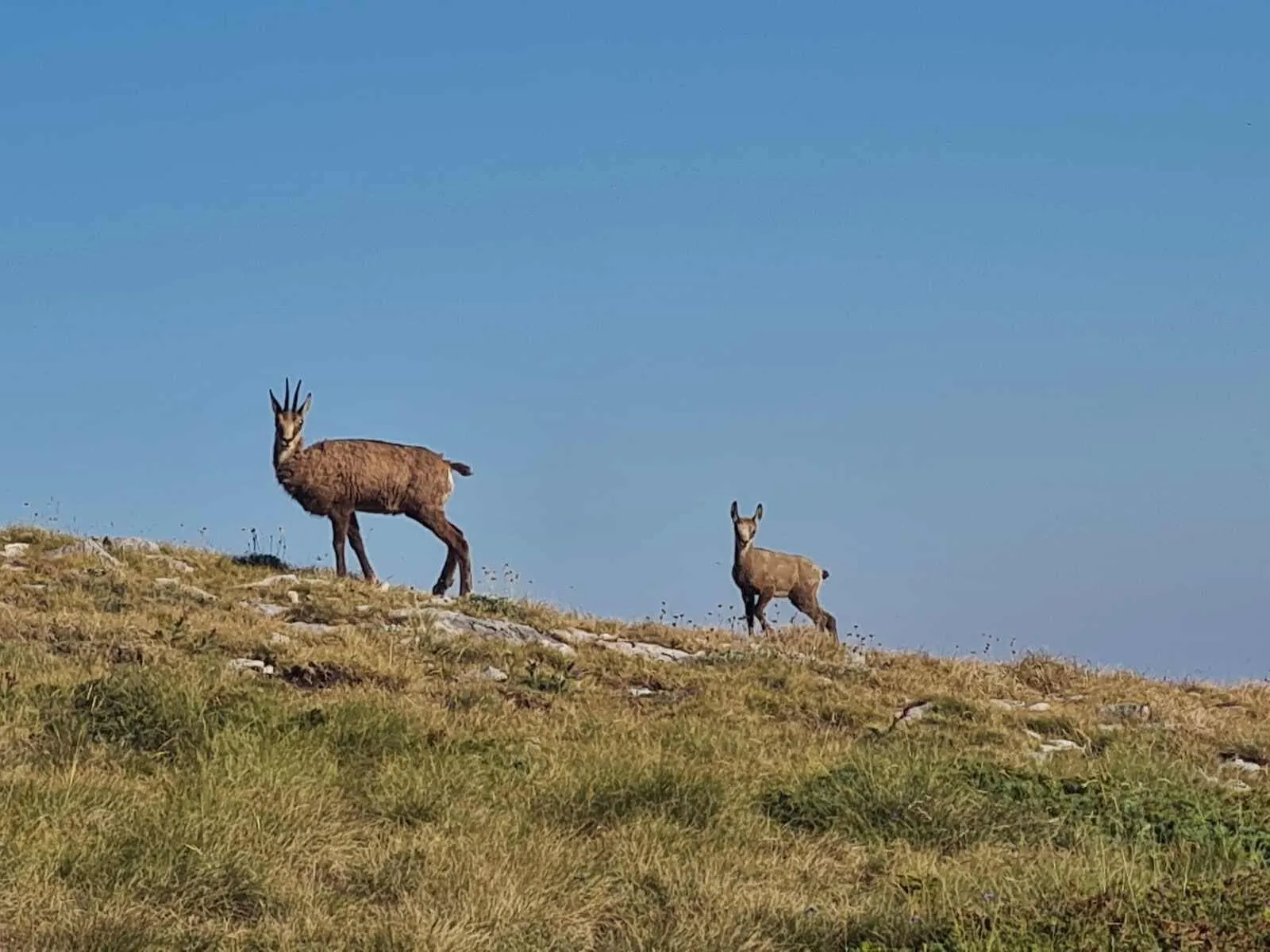 Od schroniska do schroniska na Olimp z zakwaterowaniem przed i po 13