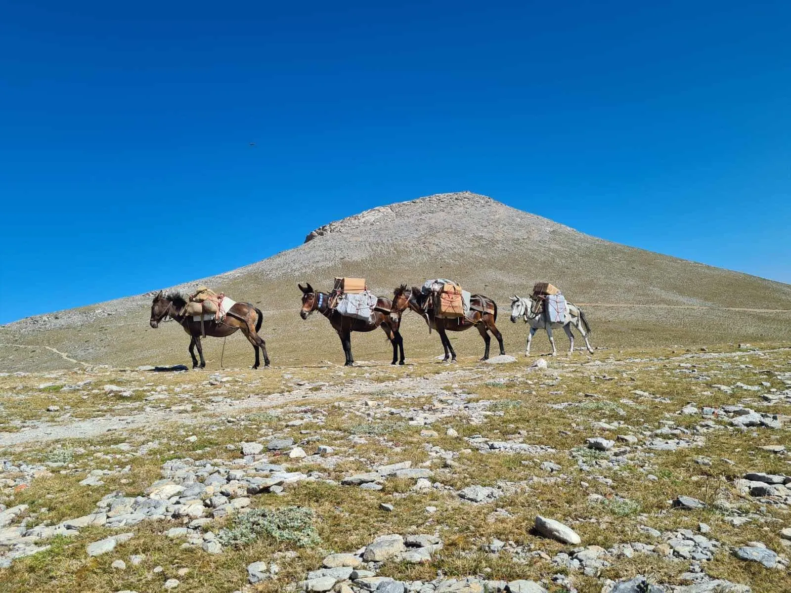 Monte Olimpo: Da Rifugio a Rifugio fino agli Dei 5