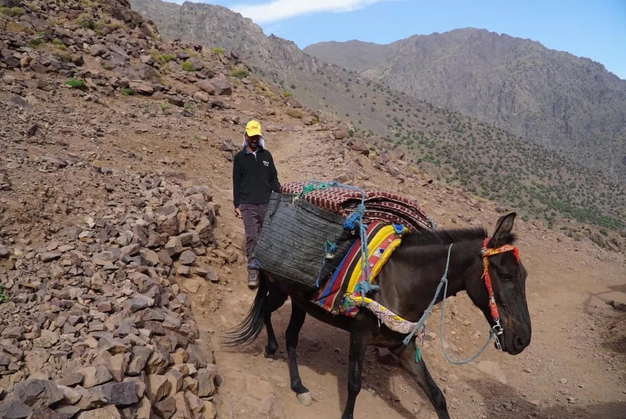 Hvordan vi kan organisere din guidede vandretur til Mount Toubkal