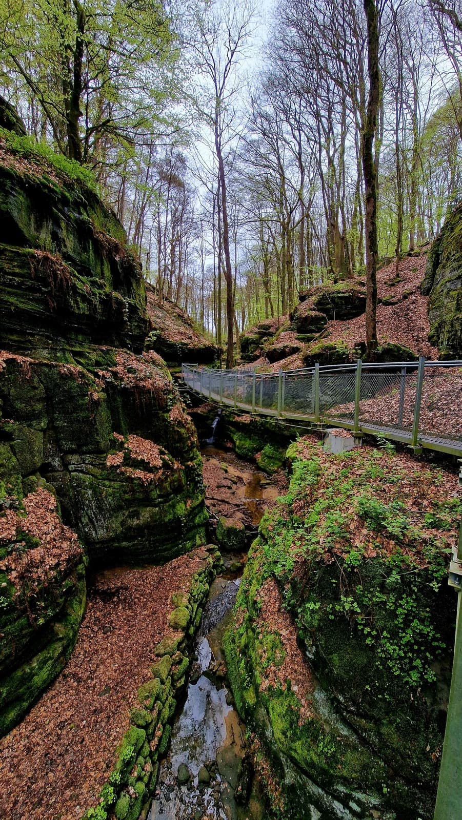 Full Mullerthal Trail Route 1