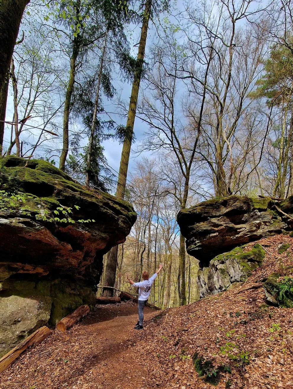 Mullerthal Trail Route 1 & 2 6