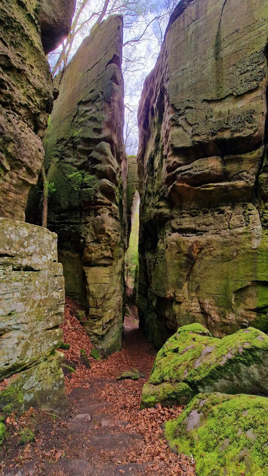 Mullerthal Trail Route 2 8