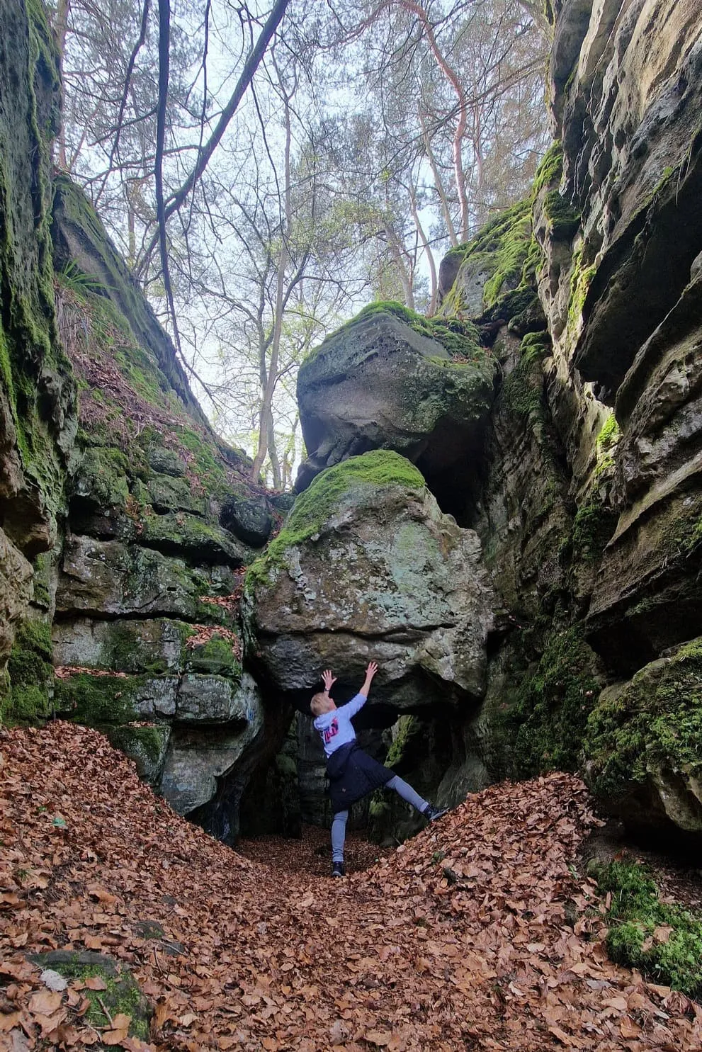 Mullerthal Trail Itinéraire 2 10