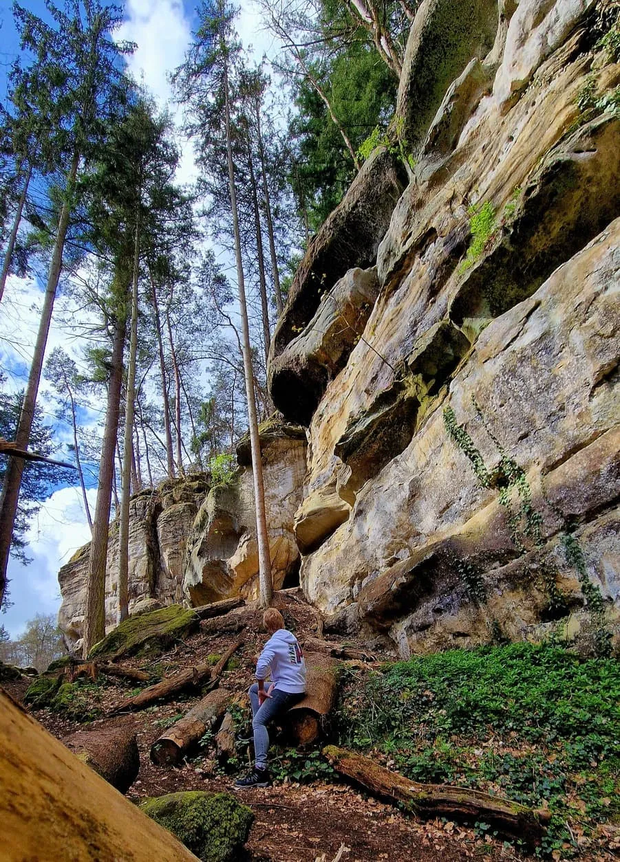 Mullerthal Trail Route 2 6